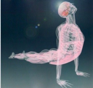 fascia yoga