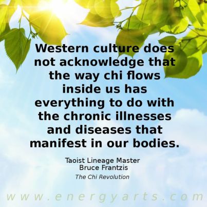 bruce chi flo chronic illness