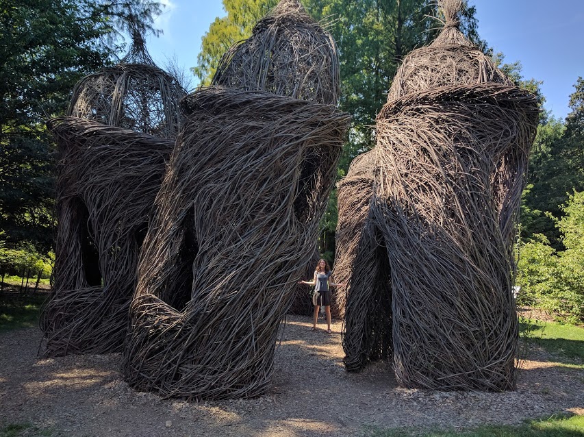 2016-08-28-morris-arb-01