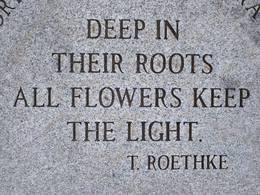 Root Control: A Reiki&nbsp;Release