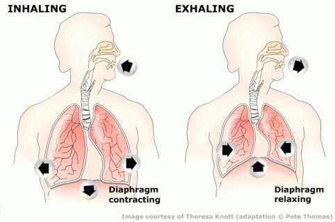 diaphragmatic-breathing